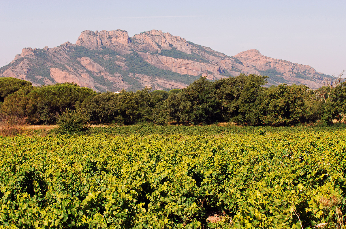 Rocher de Roquebrune