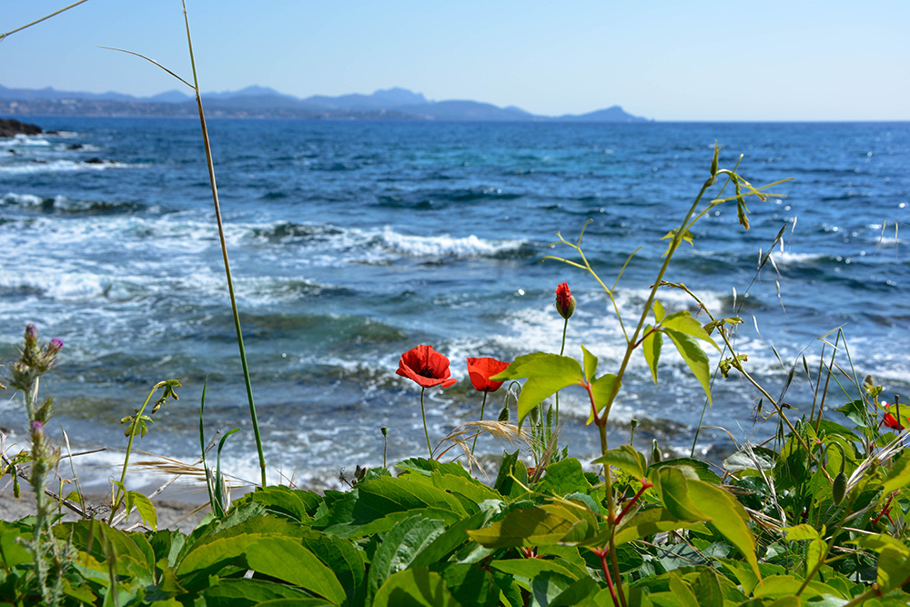 Plage Frejus