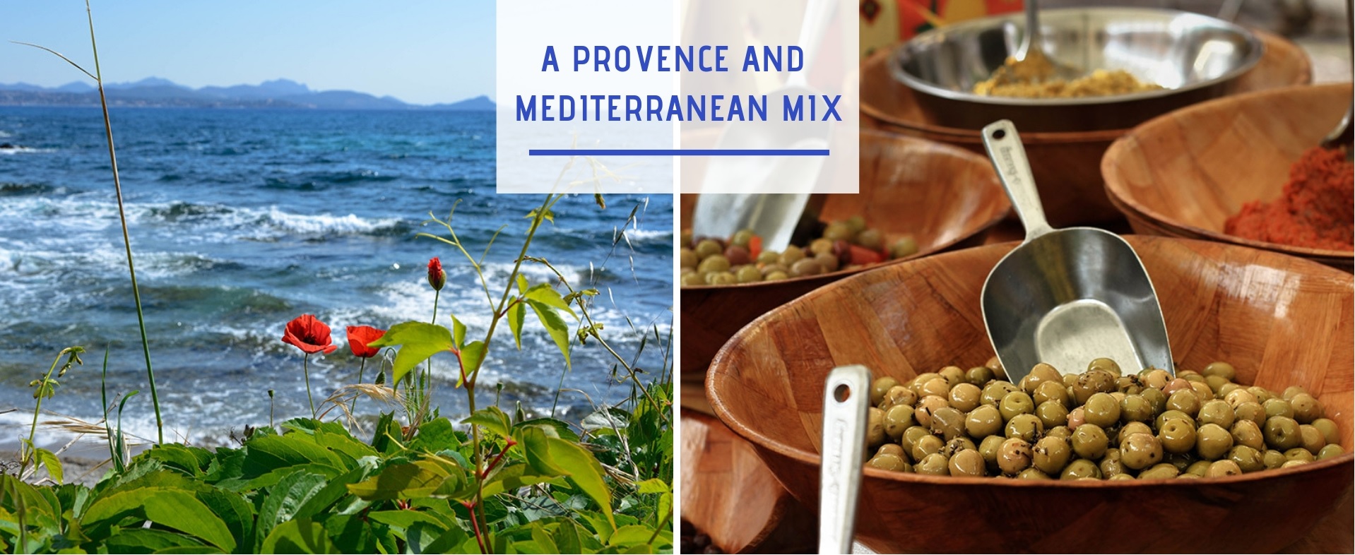 Provence mediterranee anglais