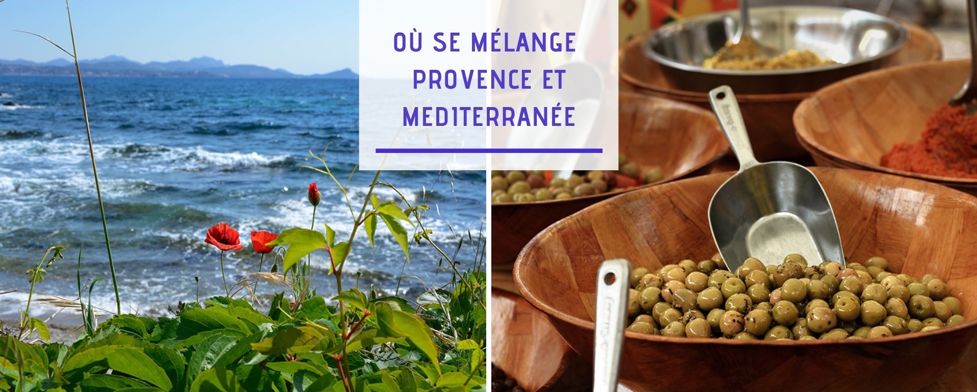 Provence mediterranee